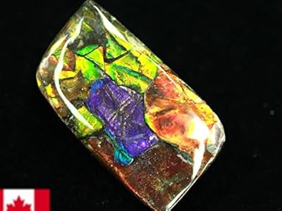 絶品★数万個の一個★天然マダガスカル産 化石 イリデッセンス アンモライト超 幻想的な味わい、美しいイリデッセンス（iridescence）を有する